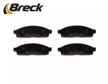 breck-245290070110